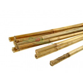 Bambusová podporná tyč