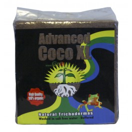 Advanced Coco XL